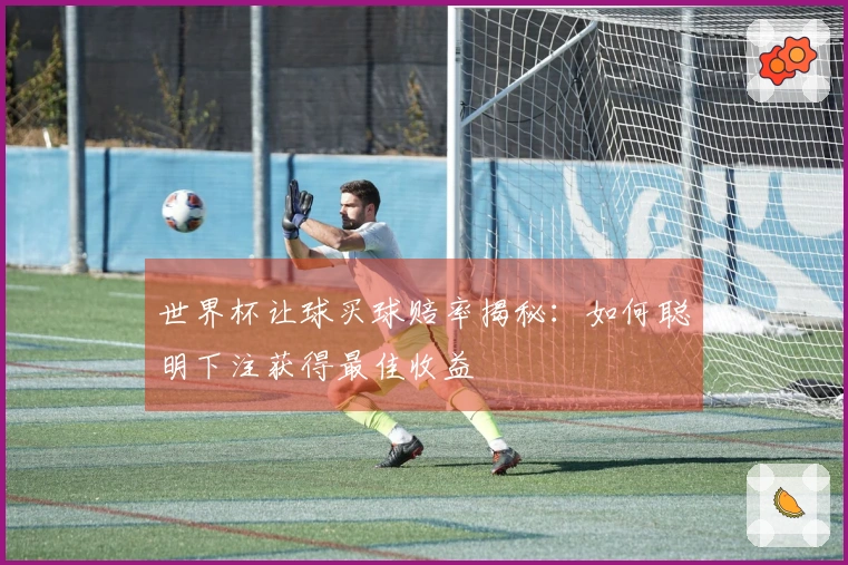 世界杯让球买球赔率揭秘：如何聪明下注获得最佳收益