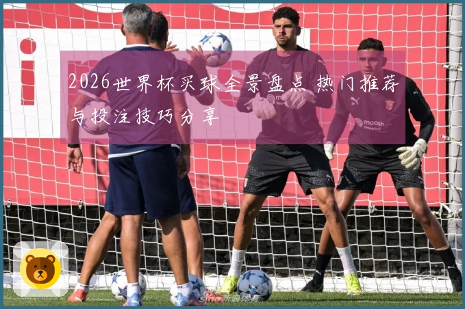 2026世界杯买球全景盘点 热门推荐与投注技巧分享