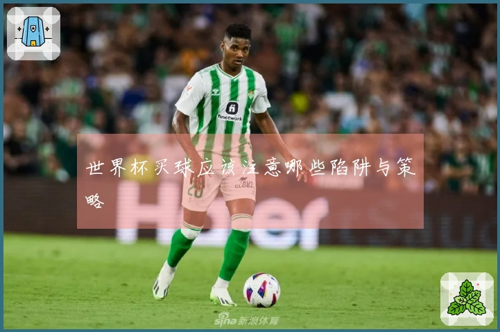世界杯买球应该注意哪些陷阱与策略