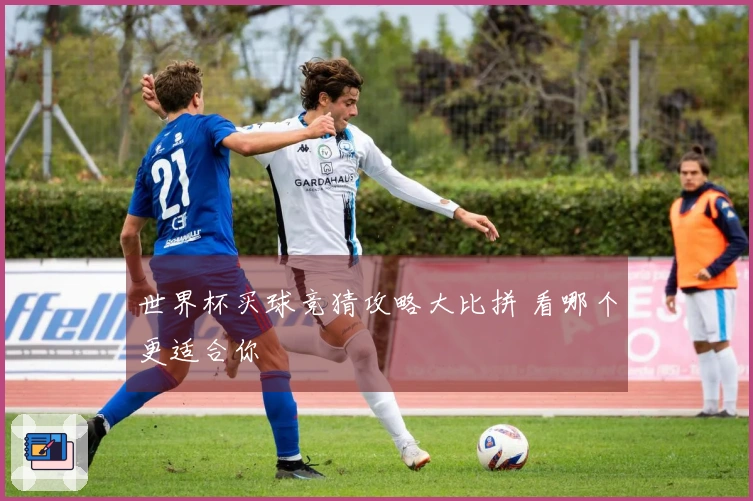 世界杯买球竞猜攻略大比拼 看哪个更适合你