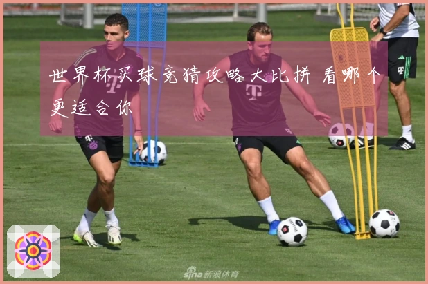 世界杯买球竞猜攻略大比拼 看哪个更适合你