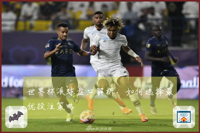 世界杯滚球盘口解析，如何选择最优投注策略