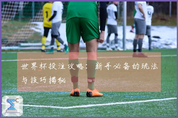 世界杯投注攻略：新手必备的玩法与技巧揭秘